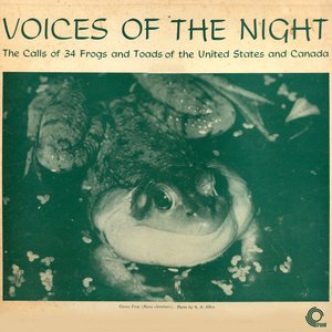 Voices In The Night: The Calls Of Frogs And Toads