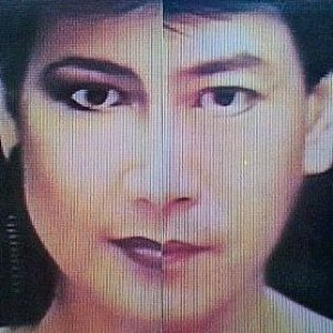 羅文 & 甄妮 的头像