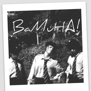 BaMuHA 的头像