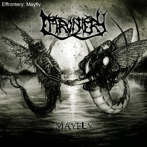 Mayfly