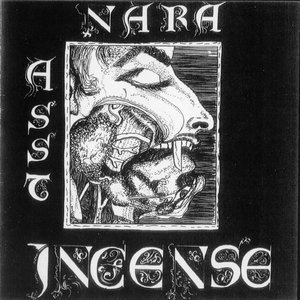 Nara Asst Incense