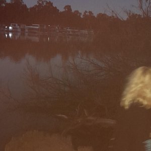 drown in the river together