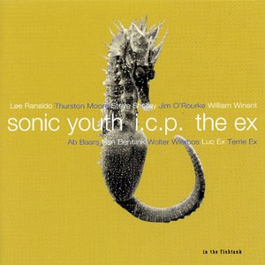 Avatar för Sonic Youth/Icp/The Ex