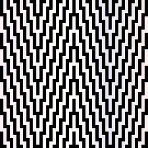 Data Distortion