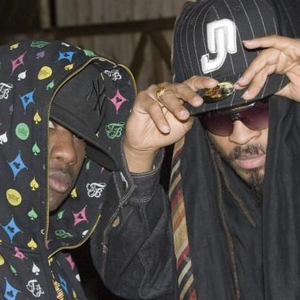 Zu Ninjaz photo provided by Last.fm