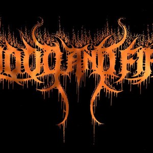Blood and Fire 的头像
