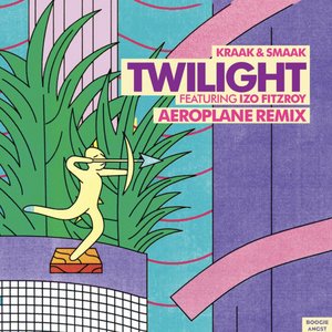 Twilight (Aeroplane Remix)