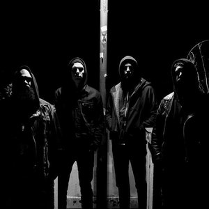 Soyuz Bear 的头像