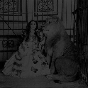 How to Tame Lions (Remixes)