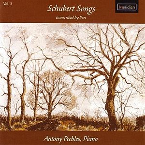 Schubert Songs: transcribed by Liszt Vol. 3