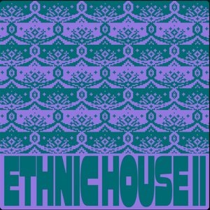 Ethnic House Vol.2