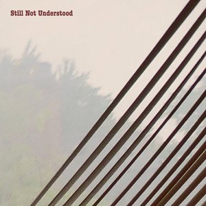 Still Not Understood