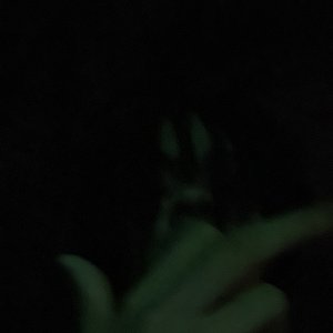 Takumoto 的头像