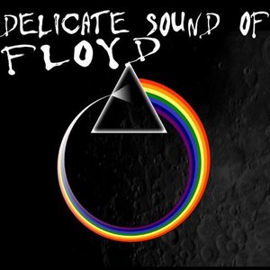 Image for 'The Delicate Sound Of Floyd'