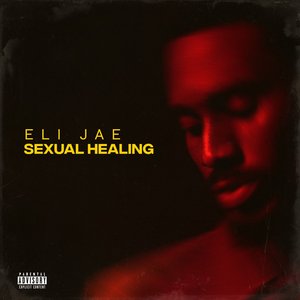 Sexual Healing [Explicit]
