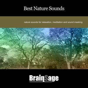 Best Nature Sounds