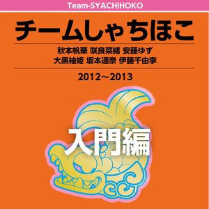 チームしゃちほこ入門編