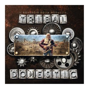 Tribal Domestic