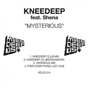 Knee Deep Feat. Shena 的头像