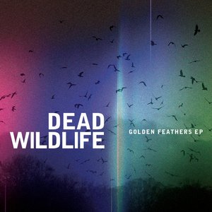 Golden Feathers EP