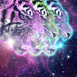 Fear Of Tigers