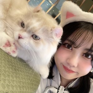 benio店長 的头像