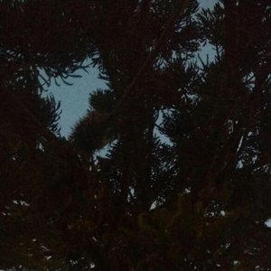 040717