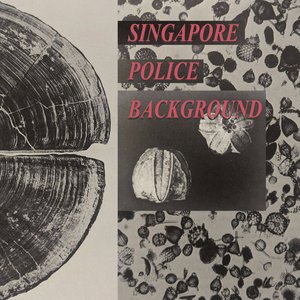 Singapore Police Background のアバター