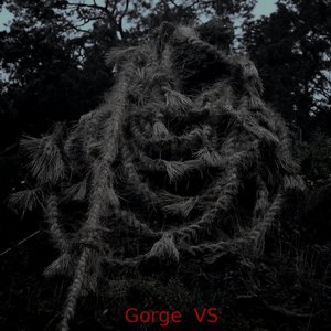 Gorge VS
