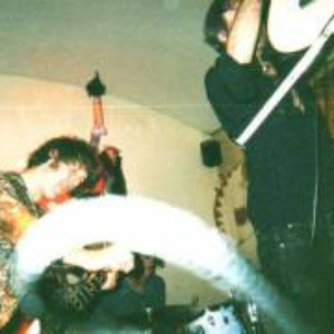 The Anacondas photo provided by Last.fm