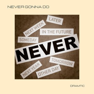 Never Gonna Do