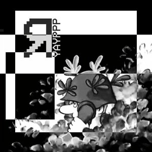 S A L O