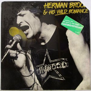 Herman Brood & His Wild Romance