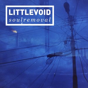 Littlevoid 的头像