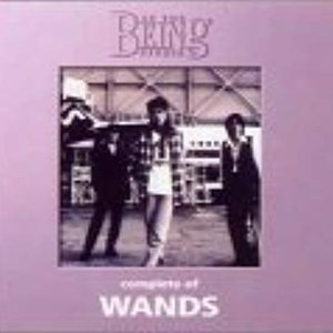 Complete of WANDS: At the Being Studio