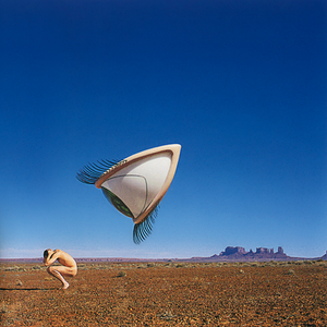 The Cranberries - BURN THE HATCHET - Zortam Music