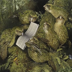 Image for 'Birds of New Zealand'