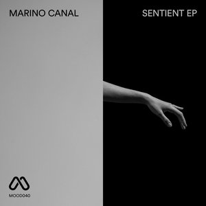 Sentient - Single