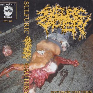 Systematic Execution Tour Tape 2016