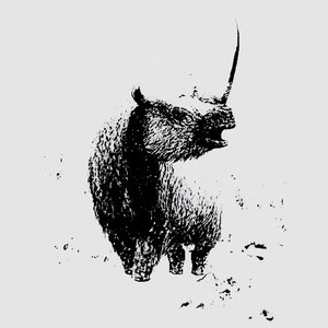 woolly rhinoceros 的头像