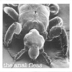 Avatar für The Anal Fleas