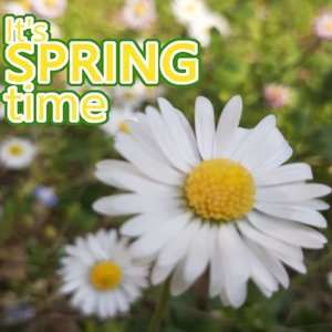 It's Spring time