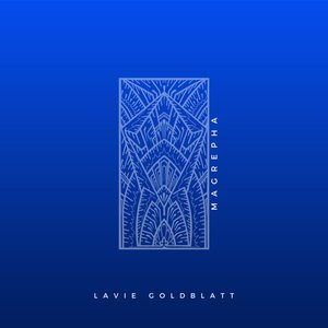 Lavie Goldblatt 的头像