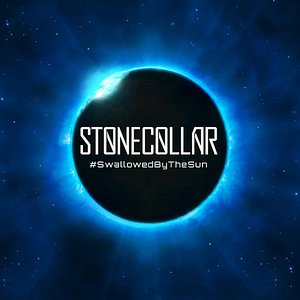 Swallowed By the Sun (Online Overlord Vol1)
