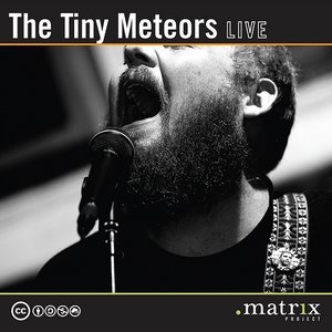 The Tiny Meteors Live at the dotmatrix project