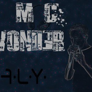Immagine per 'Fly'