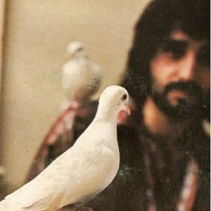Robert John Gallo 的头像