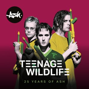 Teenage Wildlife: 25 Years of Ash [Explicit]
