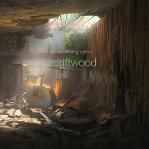 driftwood