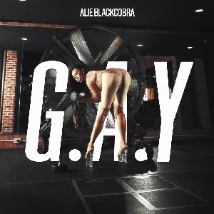 G.A.Y o(^∇^)o